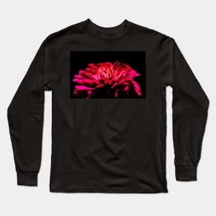 Red Zinnia flower in the dark Long Sleeve T-Shirt